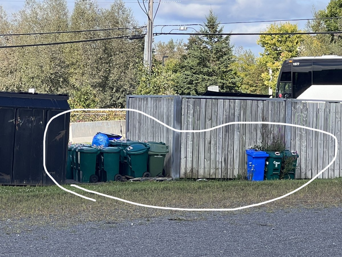 feathermoss's tweet photo. Hey #ocsb Hope #StMarksHS is gonna put these to work…
#ClimateEd #GlobalResponsability #EnvironmentalEducation #Recycling #Composting #ClimateEmergency
#ONed🌍 https://t.co/r9Dfirx8GG