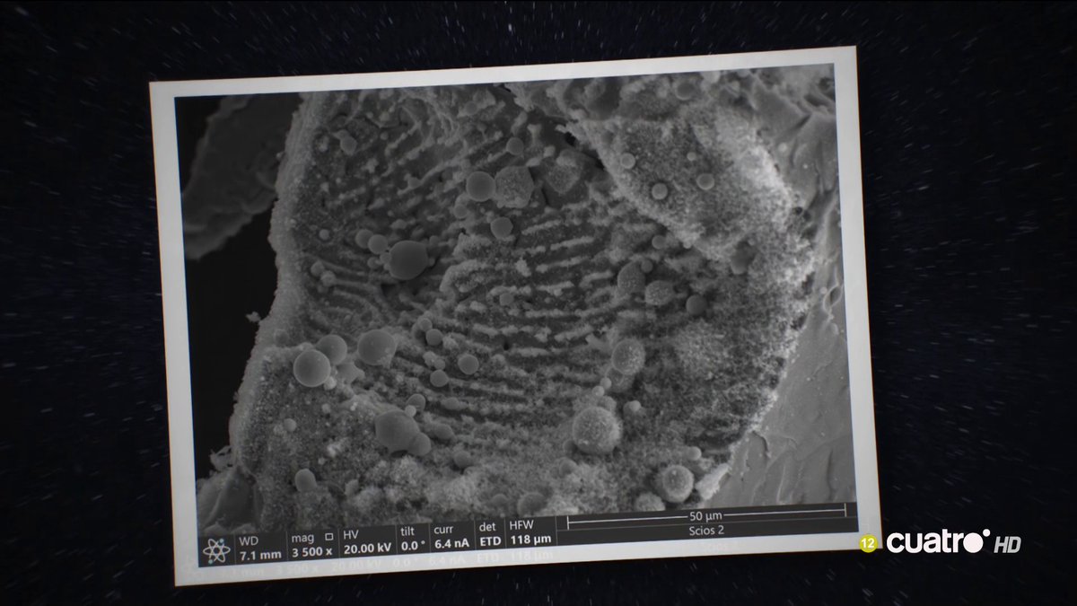 Avi Loeb, astrofísico de la Universidad de Harvard, confirma el origen interestelar de los restos hallados por su expedición en el Pacífico #CuartoMilenio