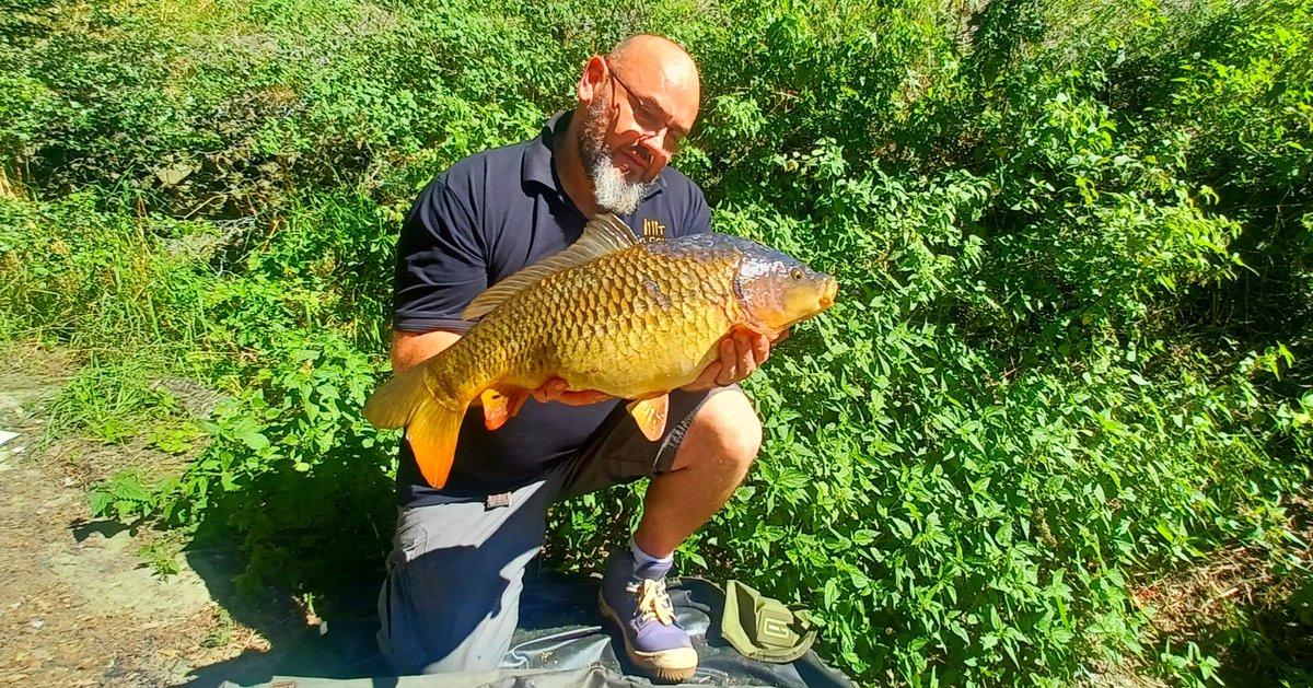 fdcbaits's tweet photo. Peu de temps de pêche sous cette chaleur cette semaine ci,  ce petit fish qui aura succombé à une pop up  squid lors d une pêche rapide  et une 1er place au concours de pêche au coup d aujourd'hui, en  font un bilan positif malgré tout 
#fdcbaits #carp #carplifestyle #BelgiumCarp https://t.co/veyEjDO0dN