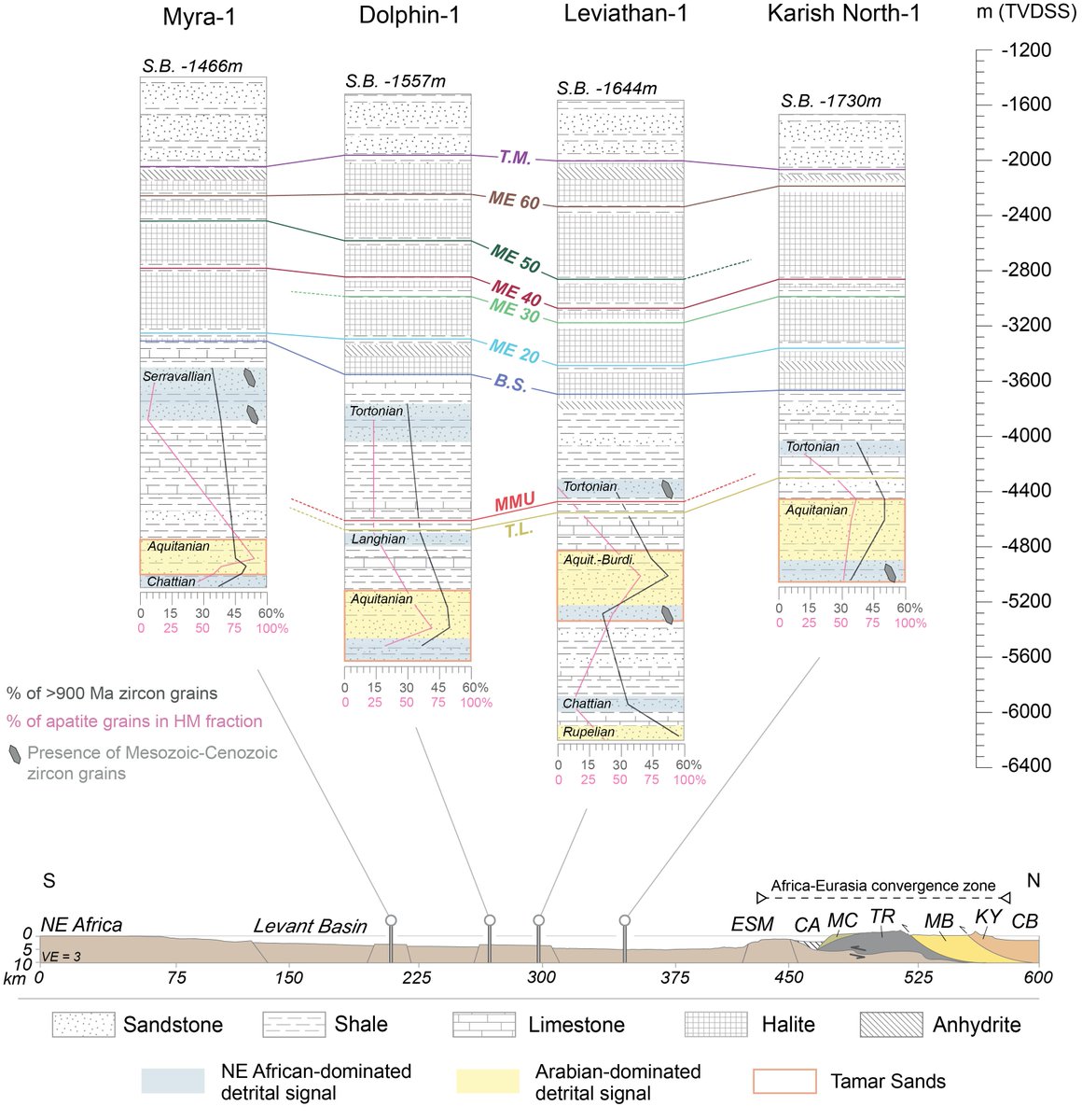 Israel Geological Society tweet media