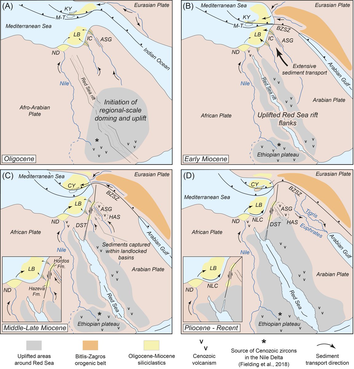 Israel Geological Society tweet media