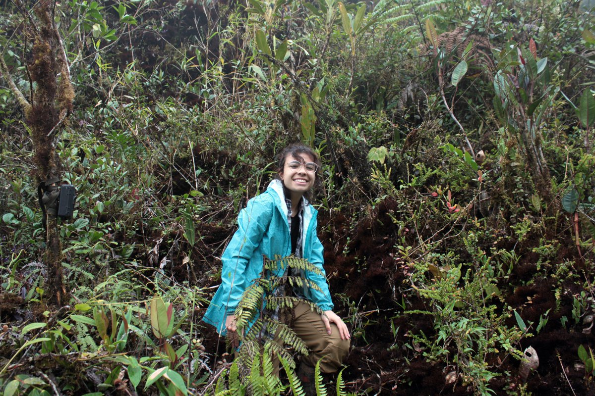 Laura Clavijo tweet media