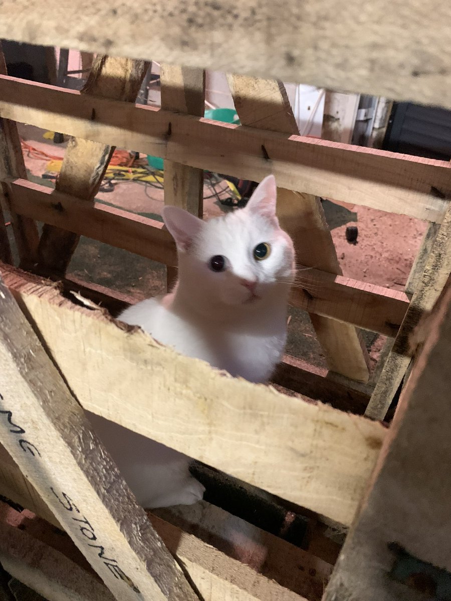 In jail where he belongs