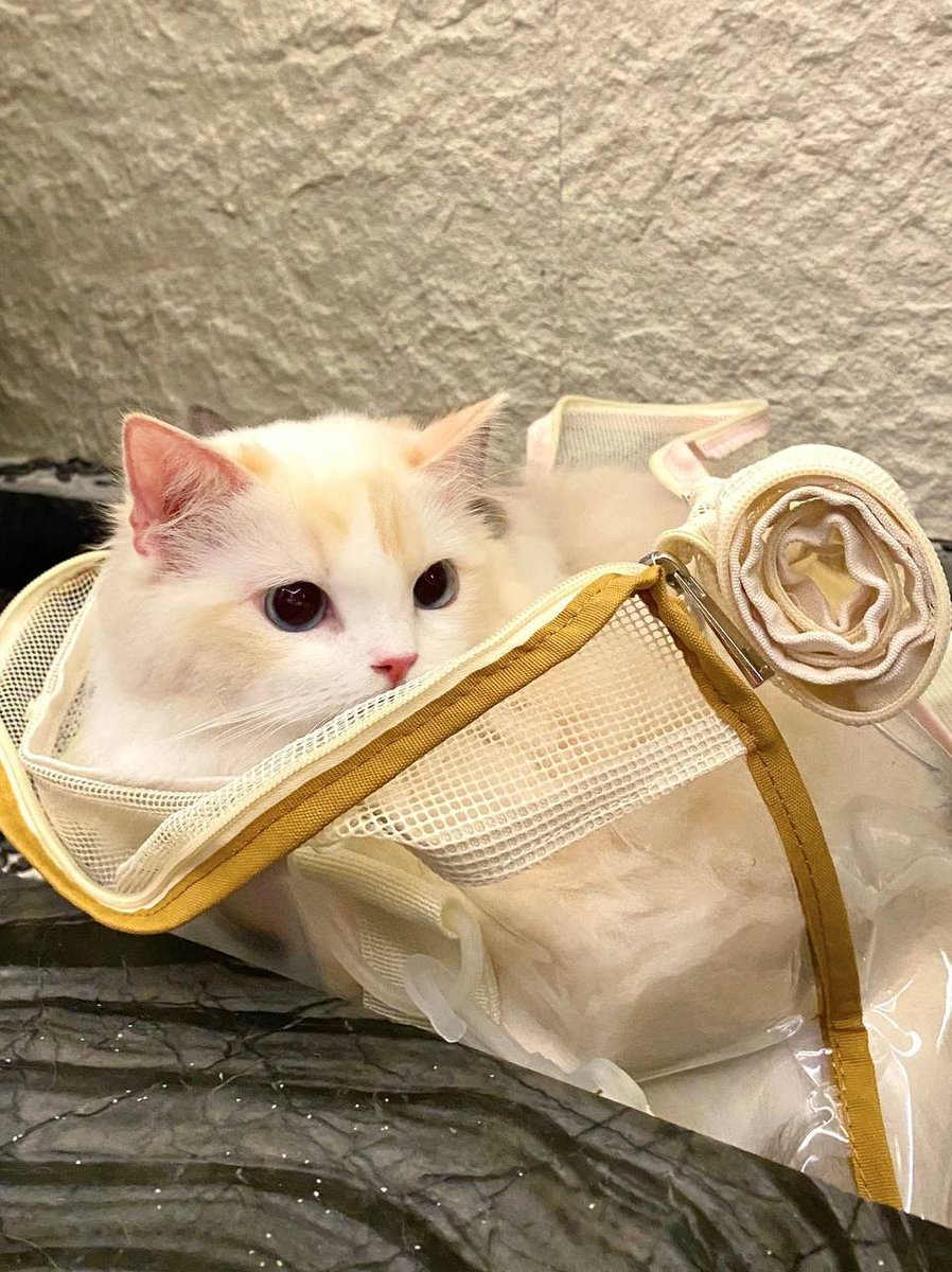 diskskekekks's tweet image. Happy weekends always go hand in hand with happy moods