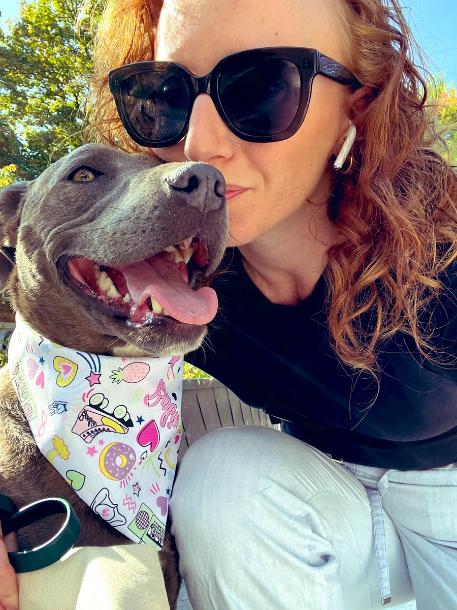Ariella (tortured poet version) 💛🎗️🤘 (@ariellakimmel) on Twitter photo Betty is all smiles after meeting other <a href="/RedemptionPaws/">RedemptionPaws</a> alumni and adoptables today ☀️☀️
#AdoptDontShop Betty is all smiles after meeting other <a href="/RedemptionPaws/">RedemptionPaws</a> alumni and adoptables today ☀️☀️
#AdoptDontShop