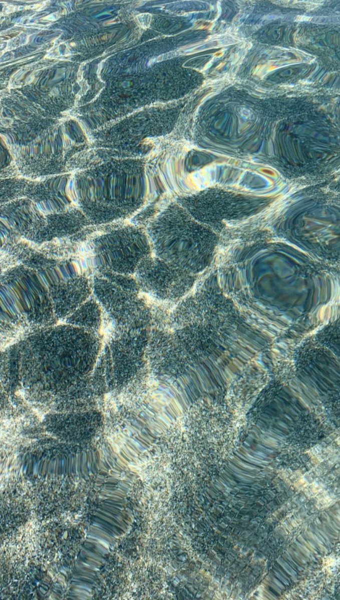 noe 🫧 tweet media