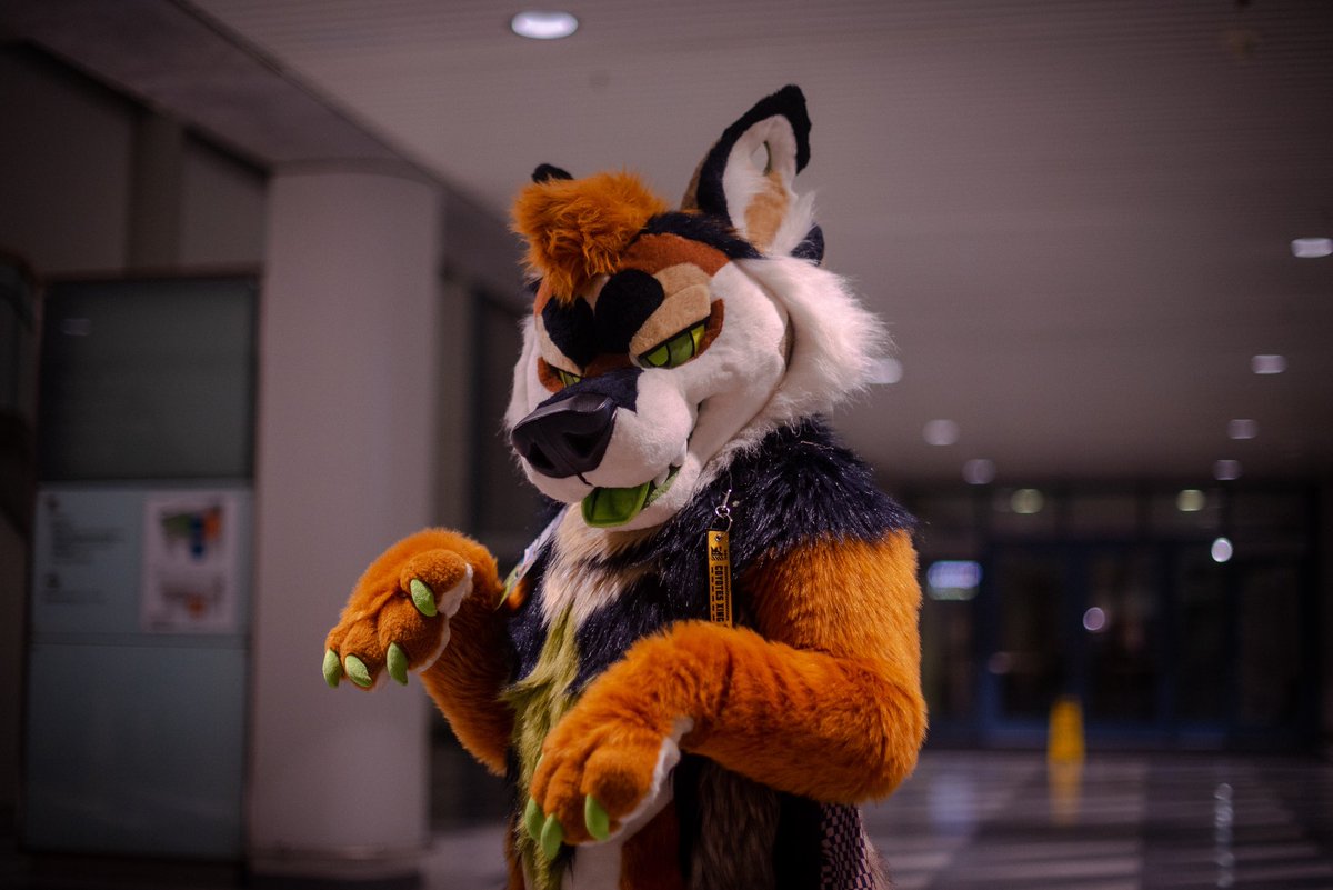 BABADOOF's tweet photo. pov: ur about to get got by a coyote 😈 

suit belongs to @castlecrypts 
made by @MulticolorBark 
photos by me :) https://t.co/cvp3YGjzVD