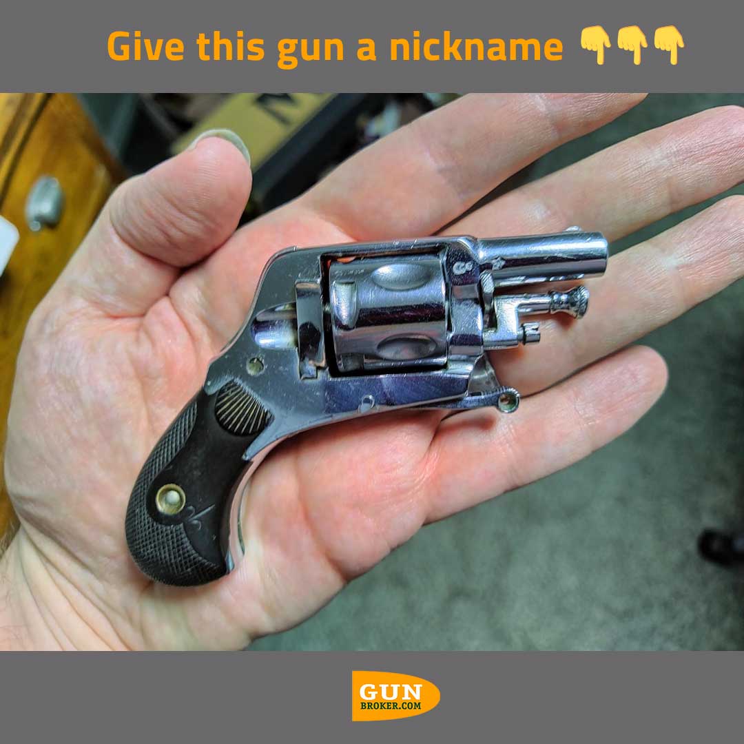 GunBroker's tweet photo. What nickname would you give it?

#GunBroker #mouseguns https://t.co/g7HizBPD73