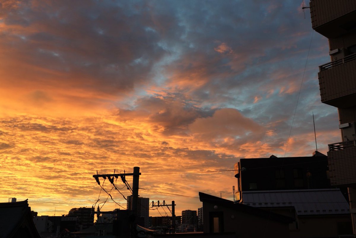 aftphotography's tweet photo. I was doing some research and when I came to, it was morning. 
Have a good week, everyone.

調べ物をしていたらいつの間にか朝になっていました。皆様、良い一週間をお過ごし下さい。
#photography #morning #fromthewindow https://t.co/JrYLElnhjS