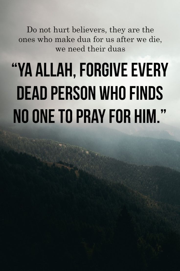 ehsanmajid67's tweet photo. Press like &amp; Retweet. https://t.co/5A4duZUW6d