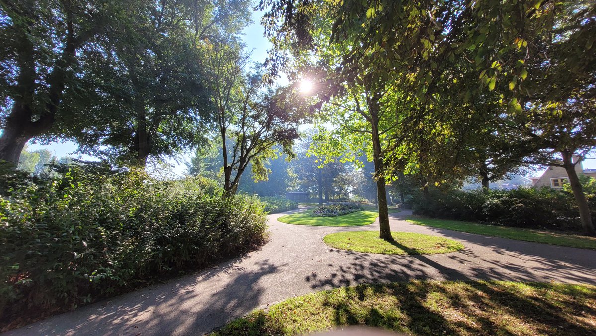 bramvanzantenn's tweet photo. #Harlingen In de vroege ochtend #Engelsetuin #peaceful https://t.co/qrcoUIKAAB