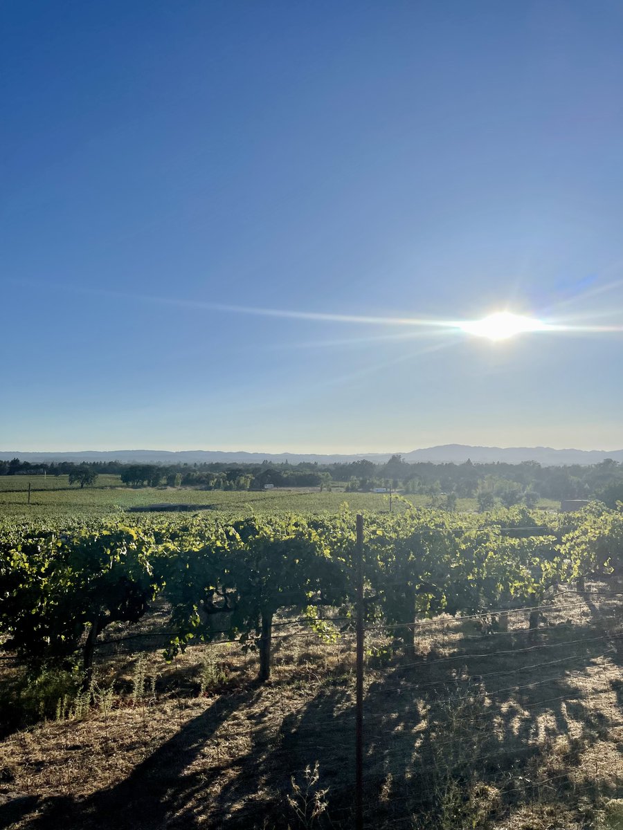 annaparenteau19's tweet image. Was fortunate to attend #Flux2023 yesterday! Grateful to those who shared their research, lessons learned from valiant data collection efforts, and how to meaningfully connect developmental cognitive neuroscience to policy efforts. As a first-timer, I will definitely be back! 🧠