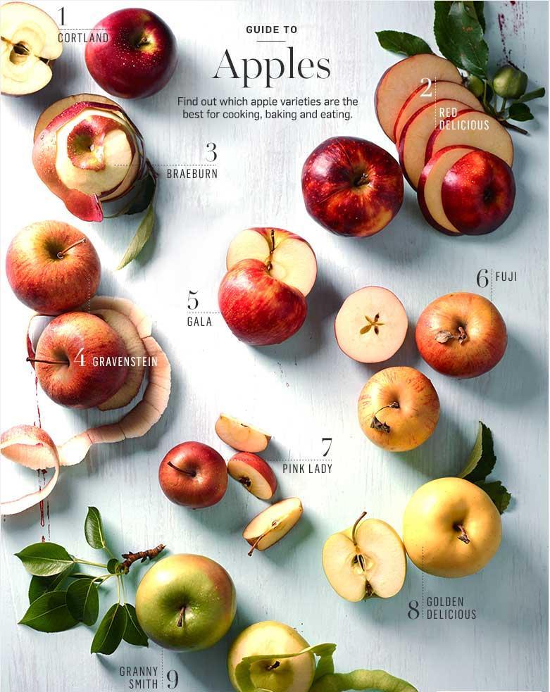 Back to school. 🍎 What's your favorite apple variety? Find out which ones are best for baking, cooking and eating.

Apple Guide: bit.ly/3PxBmXn