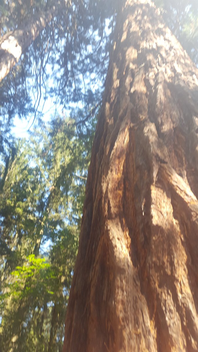 Martin Meyer tweet media