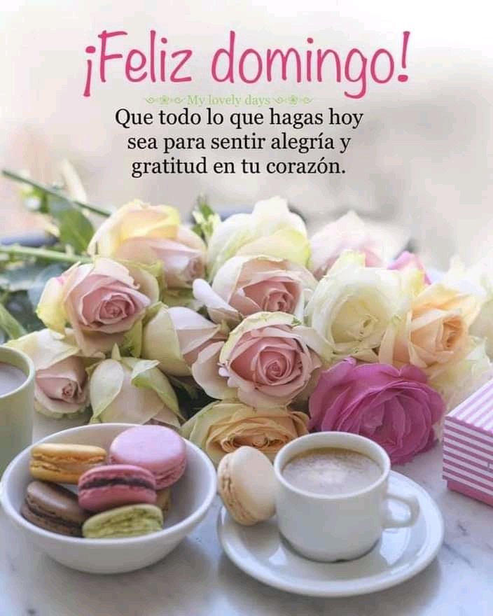 @AlmaDelaSierra1 @ElenaGzCu @Katerin17753211 @KaieLaviniaI @KarolMoya89 @Katheri96760831 @KatrinaDeCuba @LachinaReyna1 @cubacooperaven @Fisunza72 Buenos días