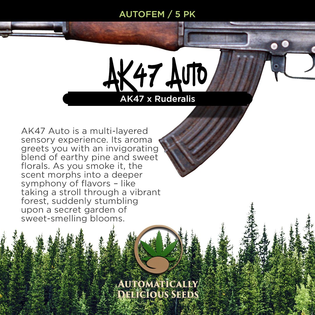 AutoDelish's tweet image. These parent strains come together to form a child that is the embodiment of potency. ENJOY!  bit.ly/auto-delish-se…

#Cannabis #CannabisCommunity #cannabislife #420community #420friendly #420Life #cannabisgrowers #seedsherenow #Bitcoin #Crypto #autodelish