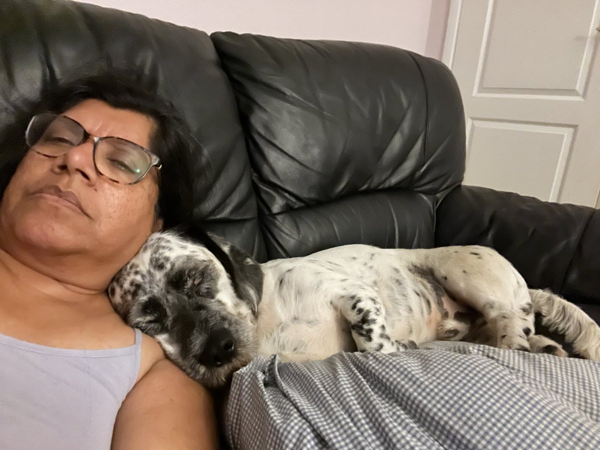 KunjappyHer's tweet photo. #SleepingBeauties #HotWeather #SofaSleeping https://t.co/8oyHzxmeaJ