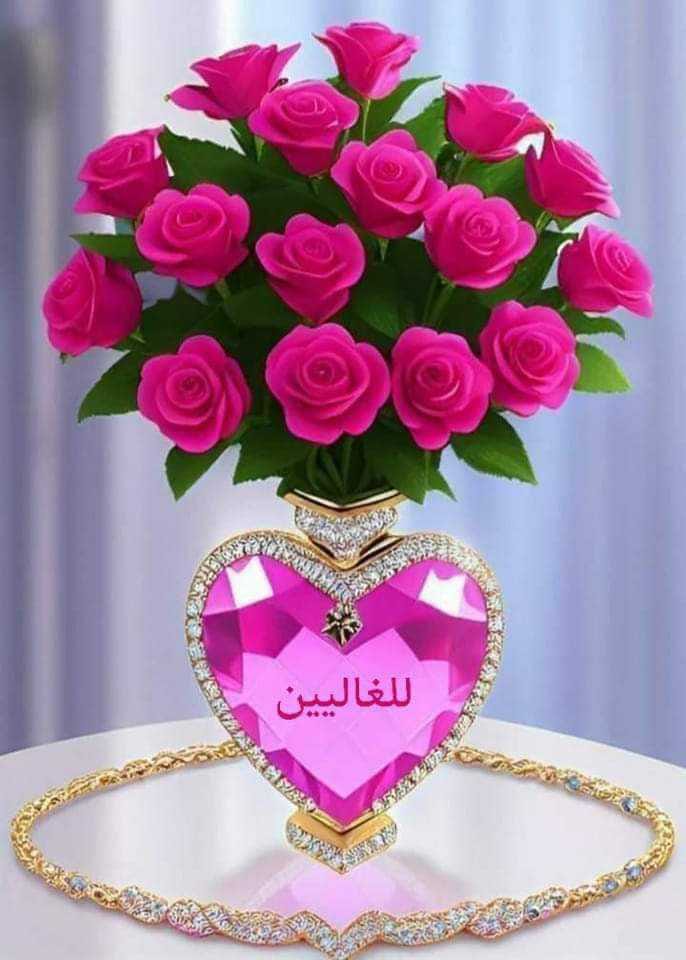 elsaid_sohier's tweet photo. إذا فقدت أجزاء من روحك ..
فأعد صياغتها بالقرآن..
القرآن يرممك،، ويزيدك همة لتبدأ من جديد في رحلة نجاحاتك☺️🕊 https://t.co/ptsud7kXdw