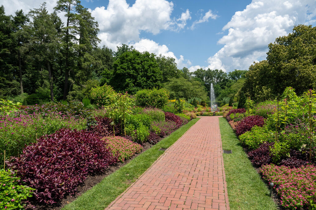 We are happy to share that we will open to Guests on Wed, 9/13 at 10 am. The past few days have reminded us of the important role Longwood plays in our community. Thank you for your support. We look forward to seeing you in the Gardens.