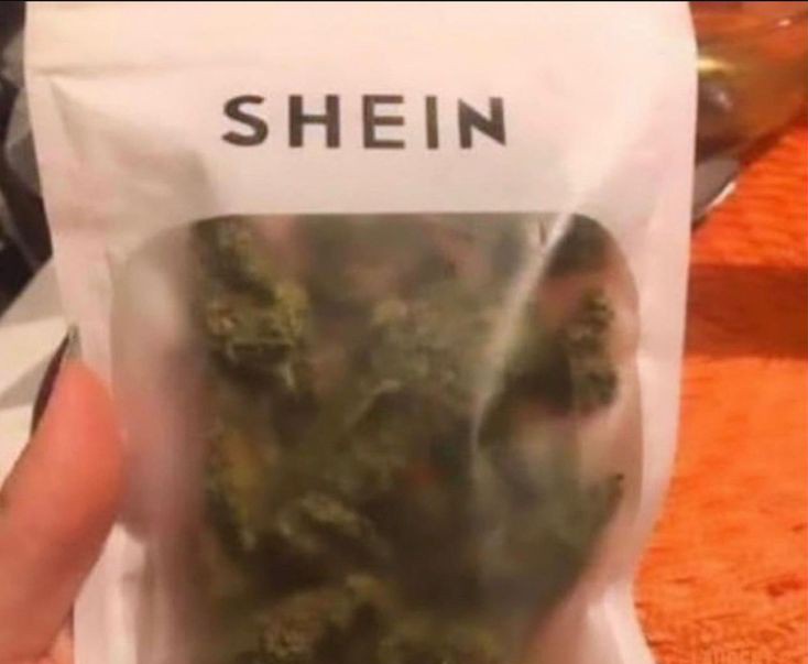 fumotroncos's tweet photo. me llegó el pedido del Shein https://t.co/Eph5MBEI62