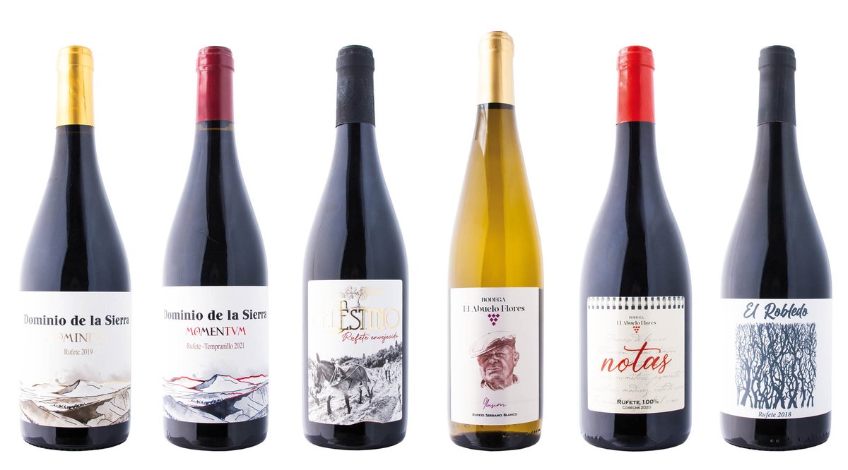 🍷Queremos seguir la pista a los elaboradores que ya estaban en <a href="/DOSalamanca/">DO Sierra Salamanca</a> y a los que llegan para aportar sus formas de interpretar el estandarte de la zona: la Rufete (tinta y blanca)🍇
mivino.es/noticia/57/cat…
#DominiodelaSierra, #DonCelestino, #ElAbueloFlores, #ElRobledo