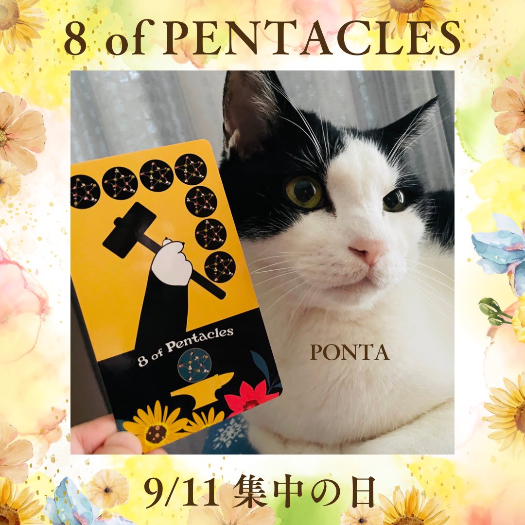 oraclerinko's tweet photo. 9/11集中の日😌目標に向けてコツコツ取り組める日。おかげでスキルが身につき成功へ近づくでしょう✨自分で学ぶことも👍ですが正しい知識、技術をプロから仕入れることも大事です。検討してみて。 #8ofPENTACLES #小さなことからコツコツとニャ #タロット #猫 https://t.co/6Vx8OvGNLm