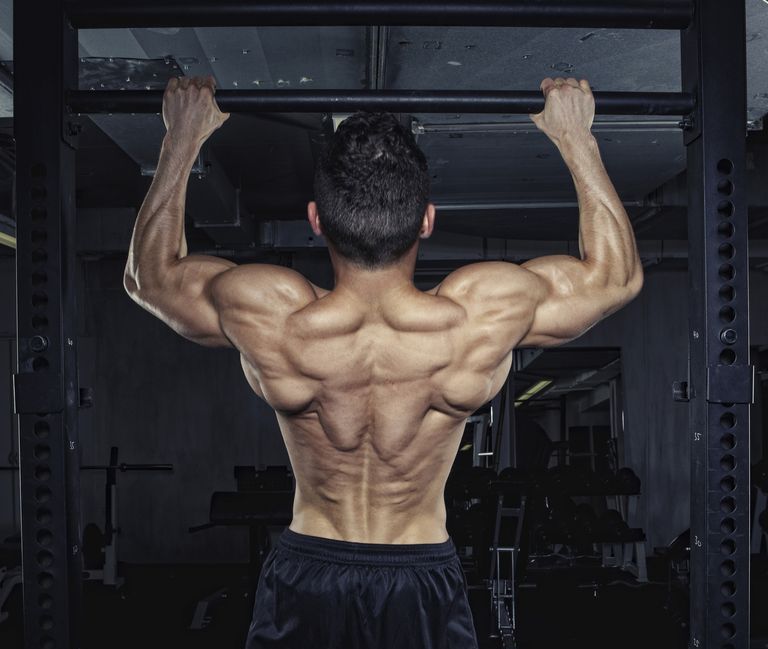 DoseOfFit's tweet image. Your back isn't just a body part; it's your support system—quite literally! From lifting groceries to perfecting your posture, a strong back plays a critical role in your day-to-day life. But are you giving it the attention it deserves? #BackStrength #Lifting