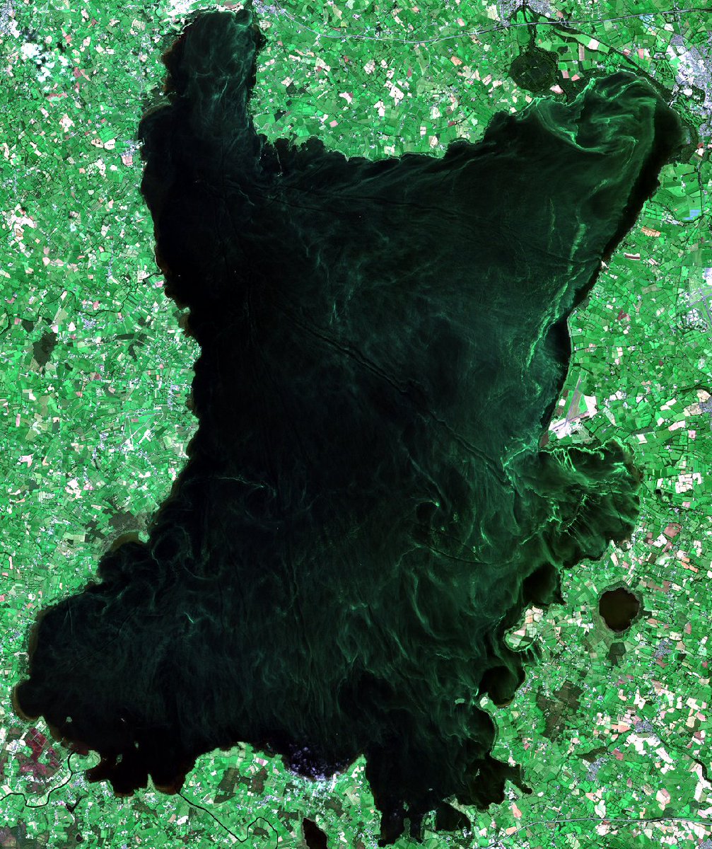 Copernicus Sentinel imagery of Lough Neagh taken last week. I don't think it's supposed to look like this?