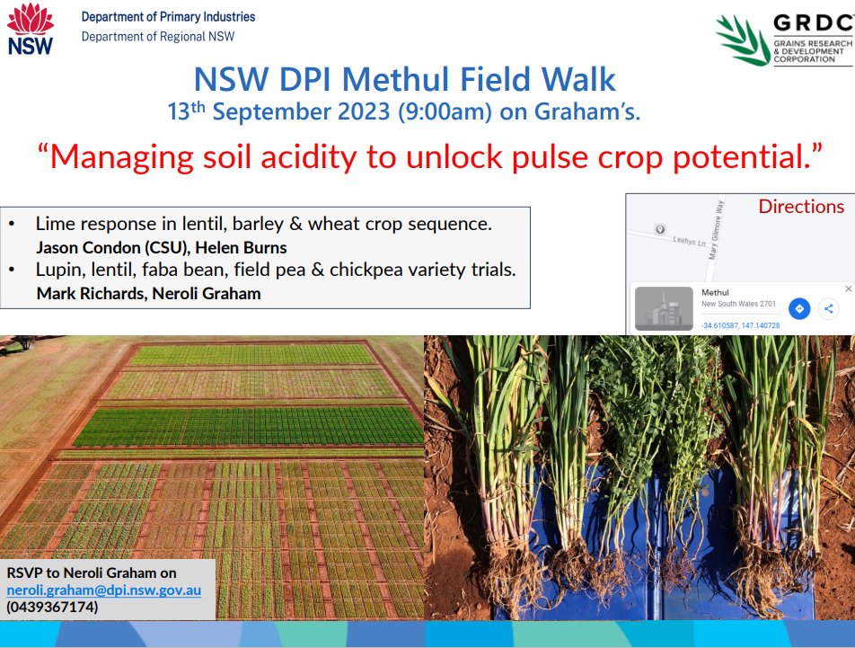Field Day @ Methul THIS Wednesday @ 9 am. '“Managing soil acidity to unlock pulse crop potential'. @nswdpi @theGRDC @GRDCNorth @llsnsw @CentralWestLLS