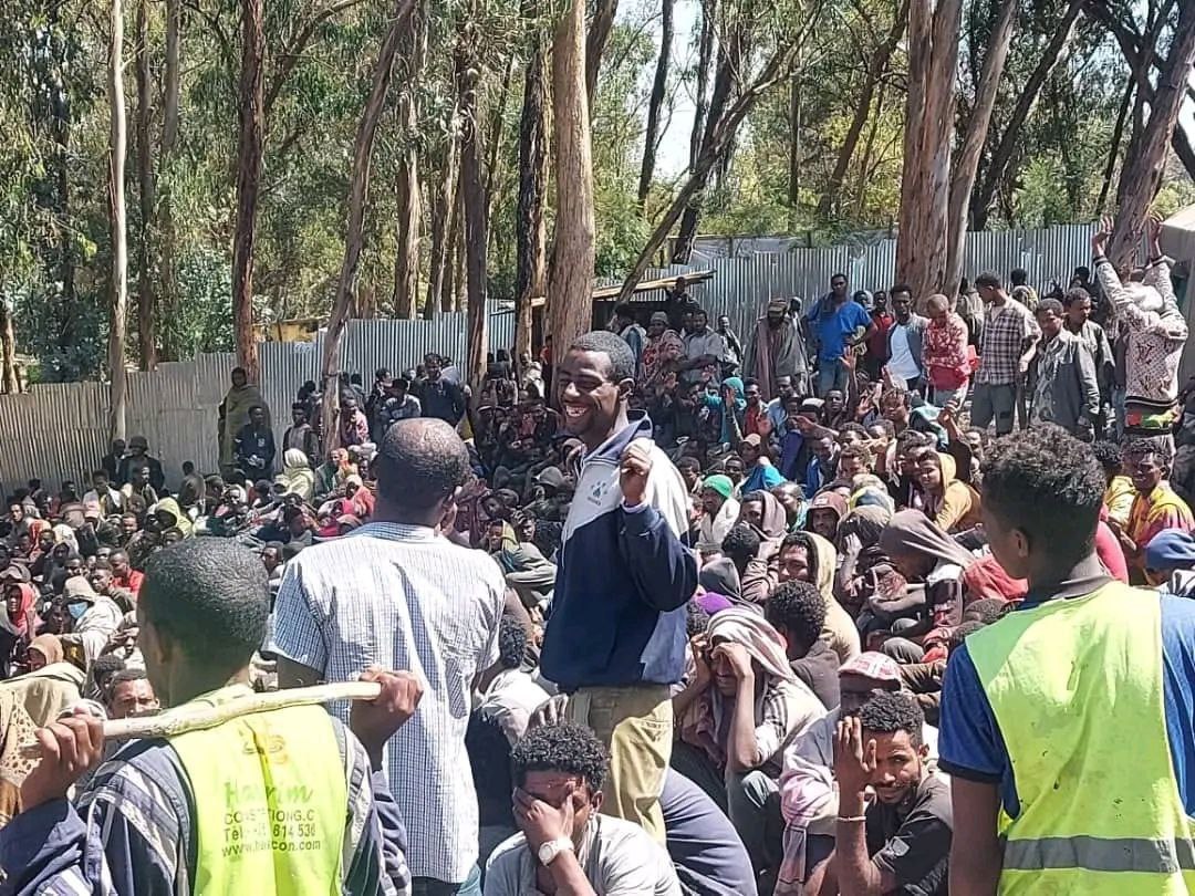 AAA_Amhara's tweet photo. 📢#UPDATE: Leaked images📸 reveal thousands of ethnic #Amhara|s detained in various makeshift concentration camps across #AddisAbaba city &amp; #Oromia Region of #Ethiopia. Victims are civilians abducted by Oromo Prosperity Party regime forces.

📸@EthioReporter
#FreeAmharaDetainees https://t.co/m9PFLrVQXF