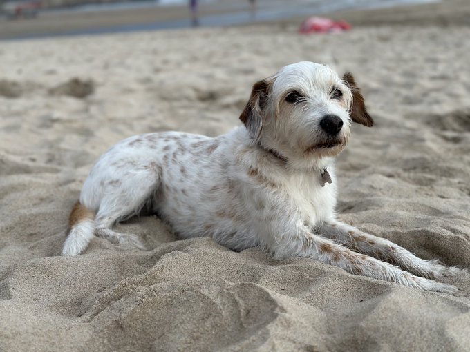 My gurls 🤎🤍 https://t.co/u5f18N16DI<a href="/tag/gojosatoru"class="tags"><span>#gojosatoru</span></a>