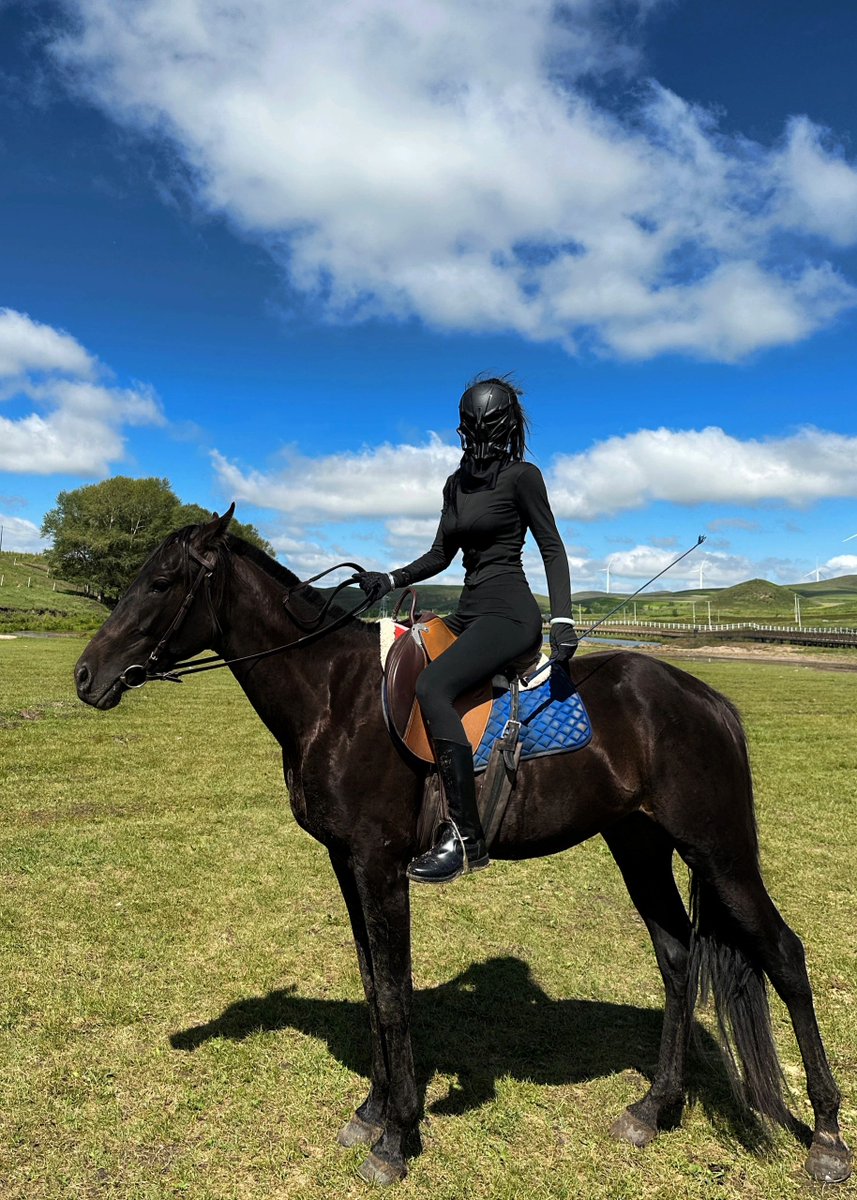 You're  only entitled to say you're unlucky if you did your best.#friesian  #kfps #equestriangirl #equestrian #equinesofinstagram #horsemanship  #animalphotography #photoshoot #friesiansporthorse #pferd #pferdesport  #frison #dressage #friendship #friesianhorse