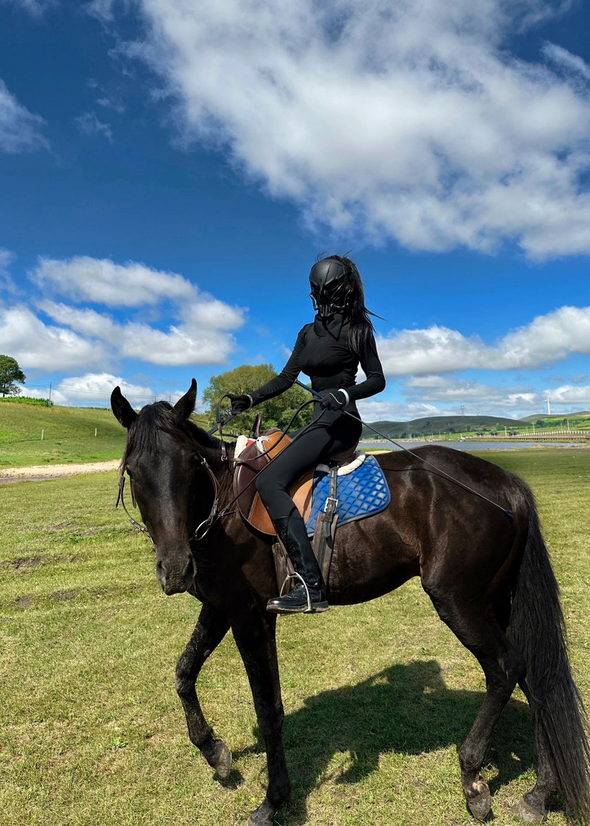 aryanejesusfer2's tweet photo. You're  only entitled to say you're unlucky if you did your best.#friesian  #kfps #equestriangirl #equestrian #equinesofinstagram #horsemanship  #animalphotography #photoshoot #friesiansporthorse #pferd #pferdesport  #frison #dressage #friendship #friesianhorse https://t.co/Jeu9FrglTC