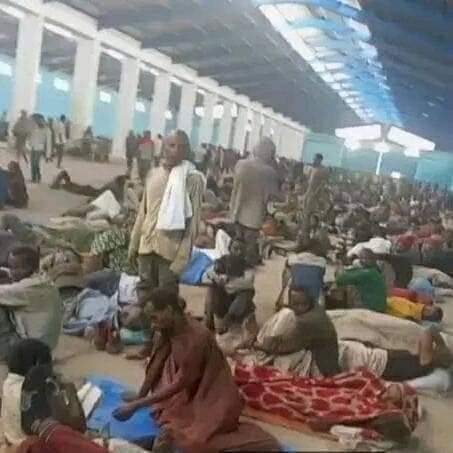 DanelDavid7's tweet photo. #እነኝህ ደግሞ በገላን በግፈኞች እየተሰቃዩ ያሉ አማሮች ናቸው። https://t.co/01wgrvm1zZ