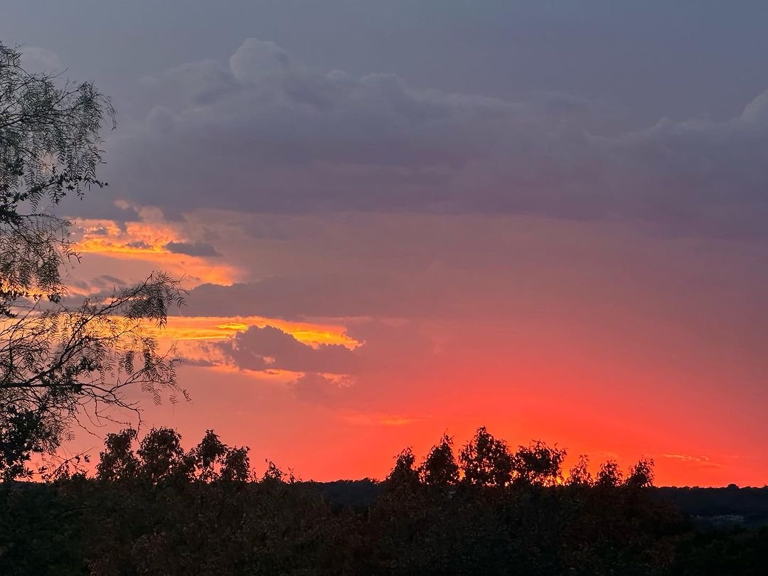 trybendsky's tweet image. 