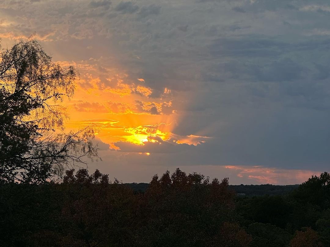 trybendsky's tweet image. 