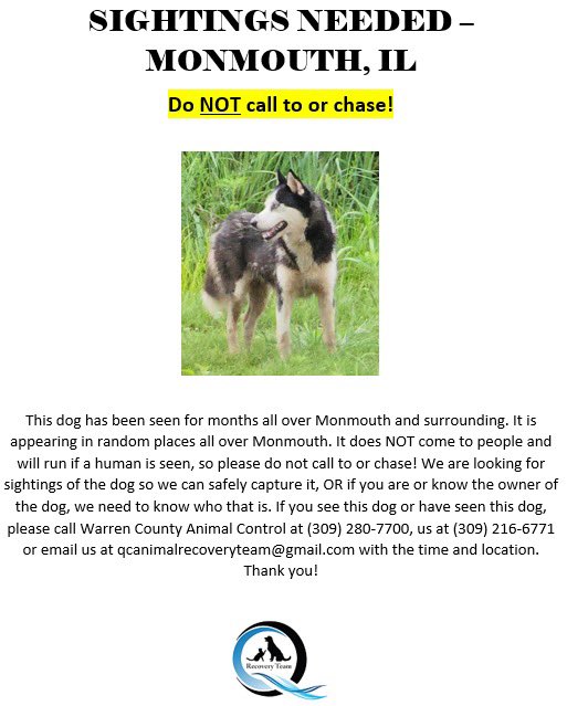 #quadcities #lostdog #pleaseshare #monmouth #qcart #qcanimalrecoveryteam #recoveryteam