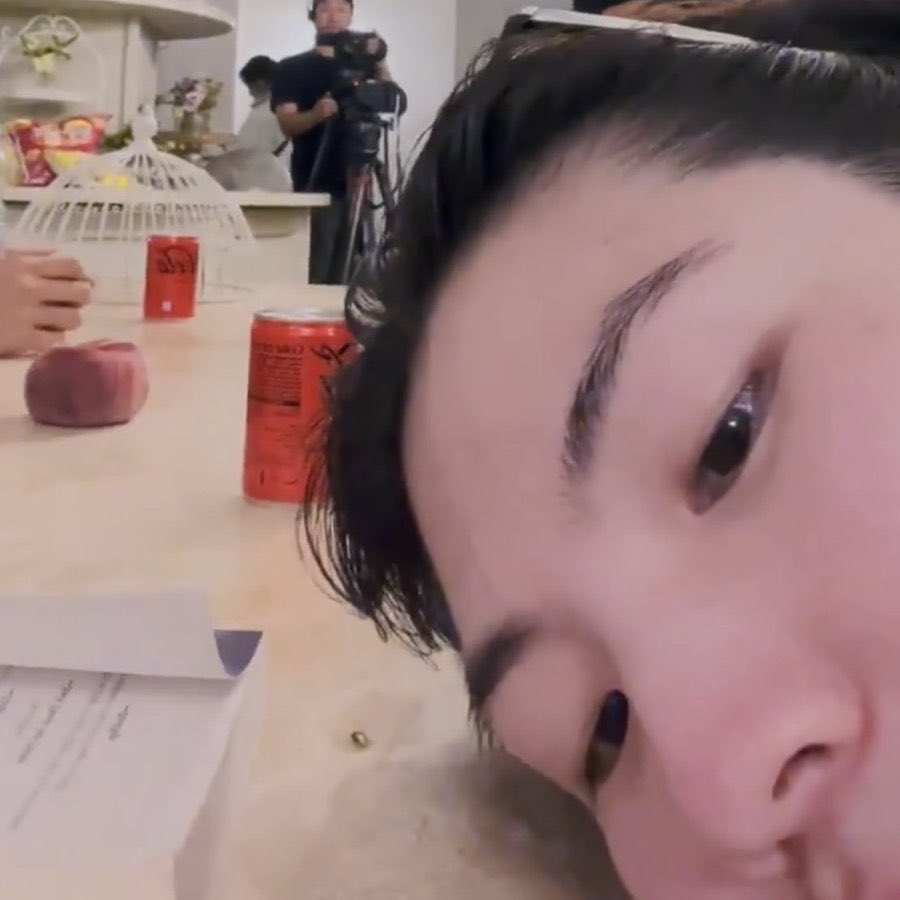 svtcatcafe tweet picture