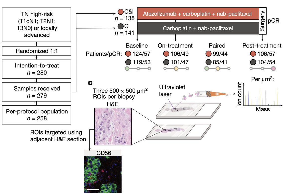 paper_a_day tweet media