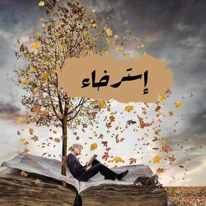 MajdAlmsawy's tweet photo. همسة المساء 

نحتاج إلى لحظة هدوء ،،، إلى هدنة مع الحياة ...
إلى صمت يكتم ضج��ج الروح ،،،
إلى وسادة سلام تسند أحلامنا المتعبة ،،،
إلى نغمة هادئة تغمُرنا بالسكينة ،،،
او عزلة نعيد فيها حساباتنا ،،،
ننصت لص��ت العقل والقلب معًا ...
 لنشعر ببعض السكينة ...
ونستعيد أنفاس الأمل ...!! https://t.co/E4JEMsZ3Xw