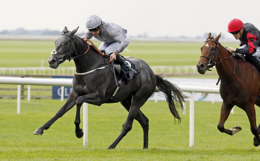 DarleyAus's tweet photo. 🇮🇪  Three individual G1 winners by the Darley stallions at The Curragh yesterday 👇

🥇 Fallen Angel (#TooDarnHot)
🥇 Henry Longfellow (#Dubawi)
🥇 Eldar Eldarov (#Dubawi)

Like father, like son.