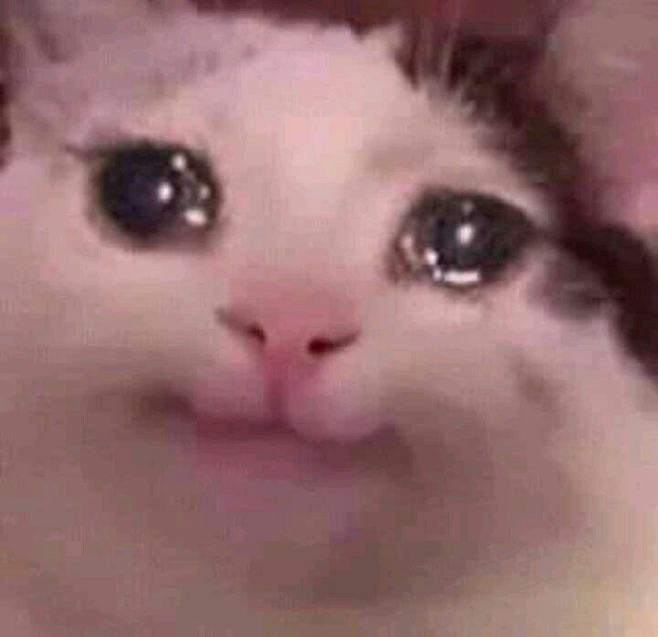 xXDaiRexusXx's tweet photo. @amongValar @unparacetamoll @aweird_gaything @_bysaku_ @MysteryQueen__ @NaraePonchos @m0ca_ctmRE @mikeypleo46 @_mxony Dibujo una vez al año pero aun me tienes en tu corazón, we gracias ;)) https://t.co/3k1kJlDxnz