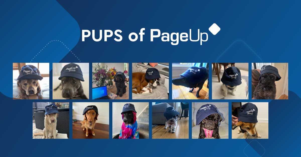 Many of our team enjoy flexible hybrid working from home, joined each day by the loyal pups of PageUp! 🐶💻

Curious about what it's like to work at PageUp? See more: pupcareers.pageuppeople.com/life-at-pageup…
