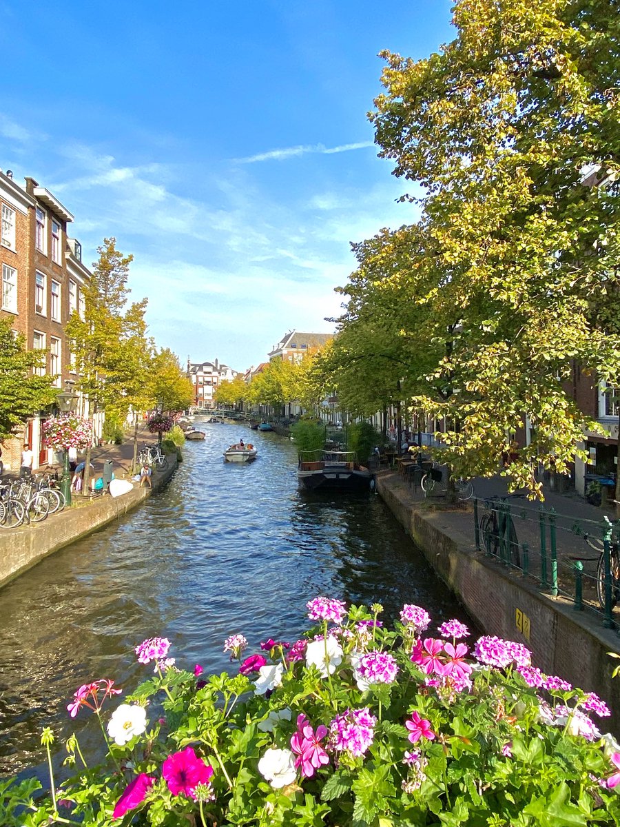 ColinNela's tweet photo. LEIDEN, l’été indien! 🥰 https://t.co/jeMmnVONKM
