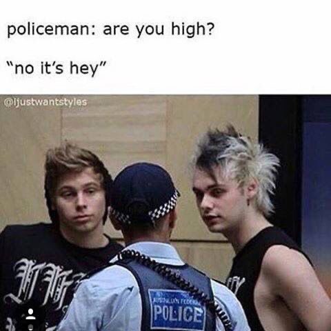 5SOST0URUPDATES's tweet photo. Assuming this was the meme Luke was referring to! #The5SOSShowIrving https://t.co/9iEodvpTtf