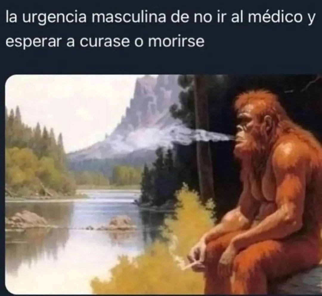 nacional_memes's tweet photo. https://t.co/Rvpq813tM3