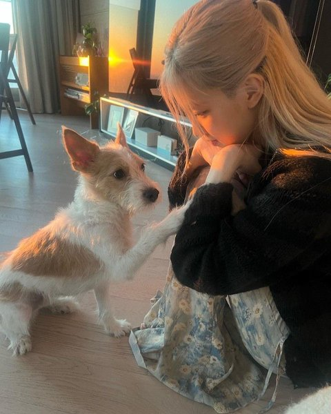 pannchoa's tweet photo. Blackpink Rose gets praised for her scandal-free career
https://t.co/xmw9Y0jvK7 https://t.co/Bx88RjqkNJ