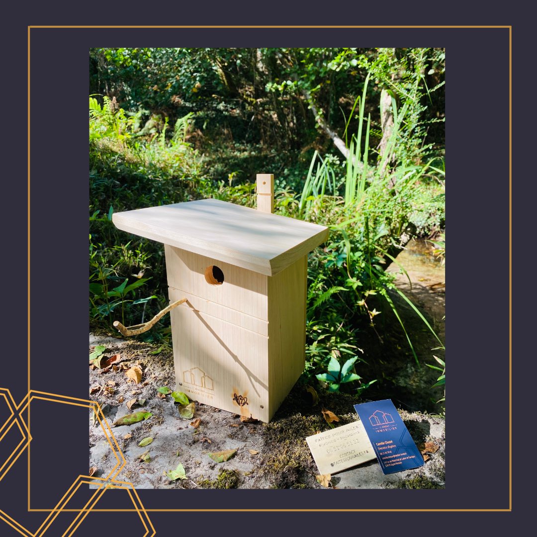 atelier_immo's tweet photo. 🌳 Un nouveau partenariat pour une démarche éco-responsable ! 🐝
#ecobarbot #marqueba #MonBassinMonAction #ecosystem #gujanmestras #arcachon #agenceimmobiliere @Marque Bassin d'Arcachon #nichoirs https://t.co/wiHwOnvPOA