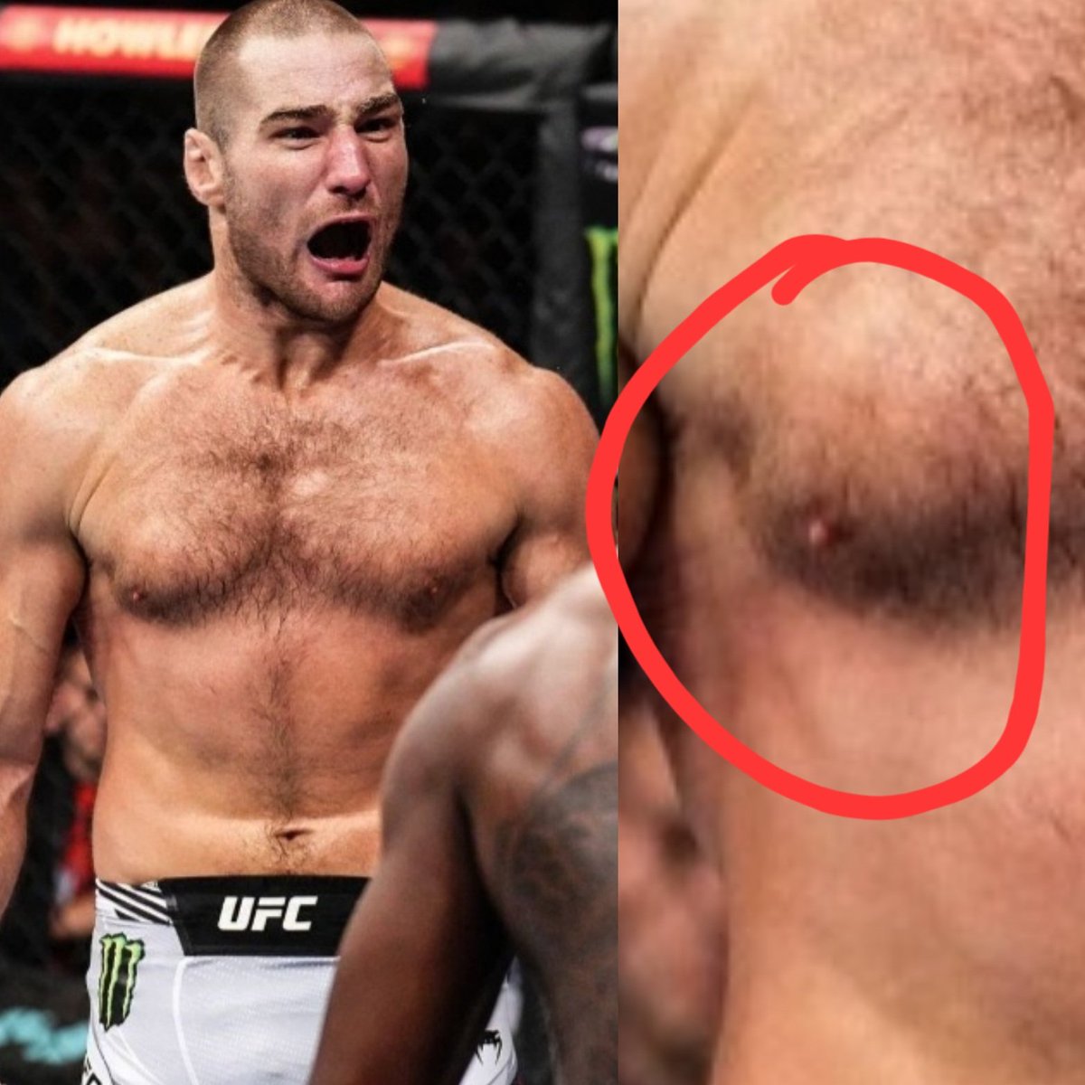 The MMA-Holes tweet media
