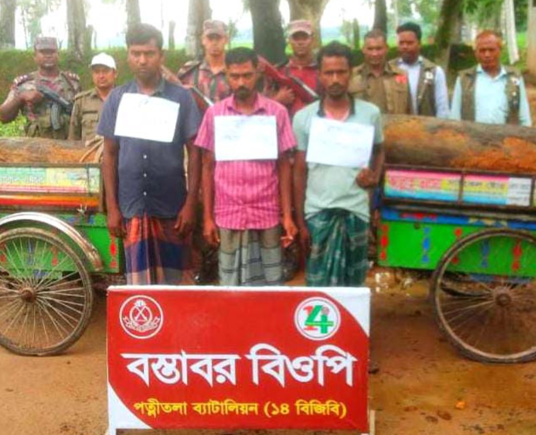 ধামইরহাটে রাতের আন্ধকারে বনবিভাগের গাছ চুরির সময় বিজিবির হাতে ৩ চোর আটক